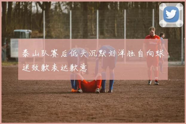 泰山队赛后低头沉默刘洋独自向球迷致歉表达歉意
