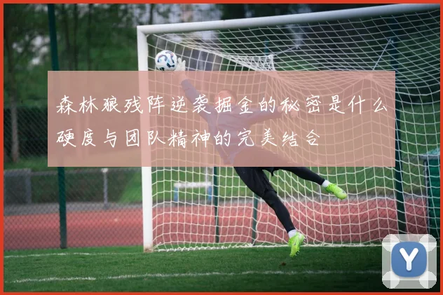 森林狼残阵逆袭掘金的秘密是什么硬度与团队精神的完美结合